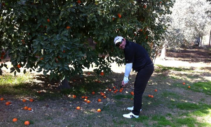 Orange golf