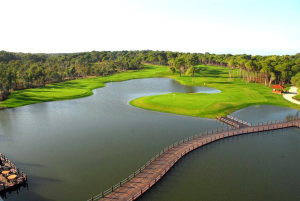 Sueno Pines Course