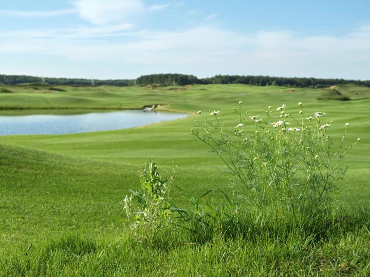 Завидово PGA National Russia
