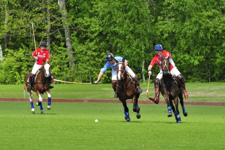 Кубок Аргентины по конному поло 2012 в Целеево
