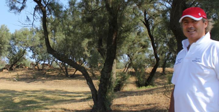 Albarella Golf