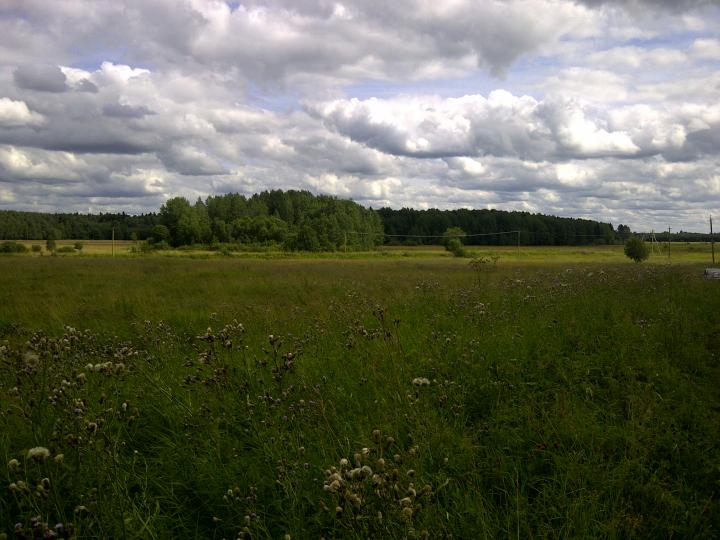 Вид на тренировочные лунки GORKI golf club